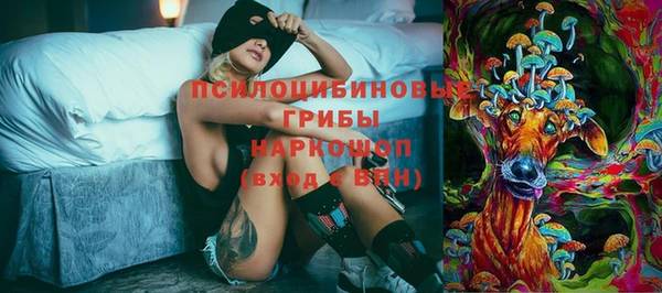 каннабис Аркадак