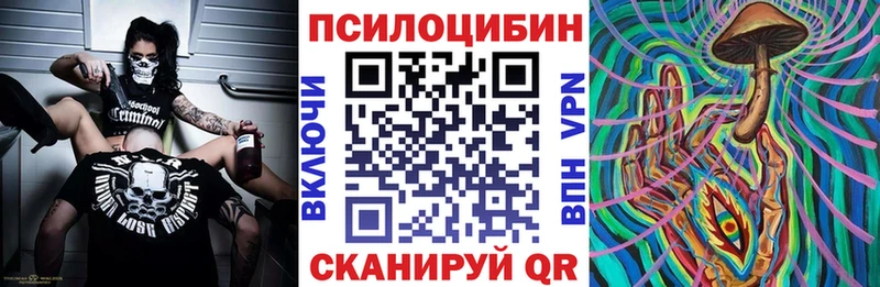 наркота  Талица  Псилоцибиновые грибы мицелий 